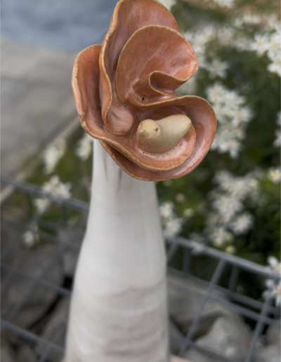 détail oiseau niché